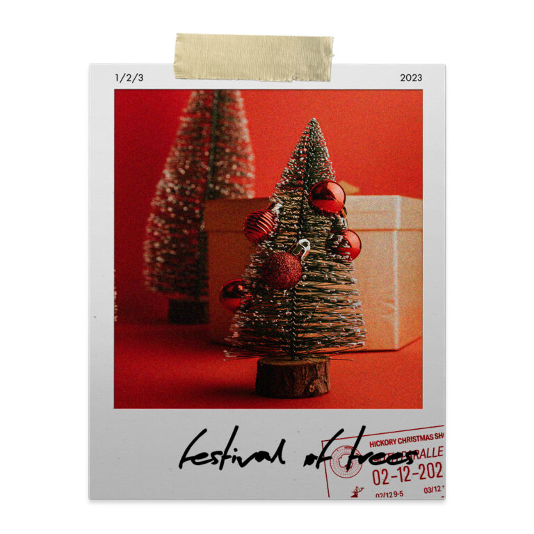 Hickory Christmas Show Find the best gifts and be inspired by the